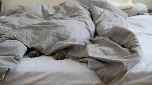 Bettdecke und Kopfkissen auf einem Bett