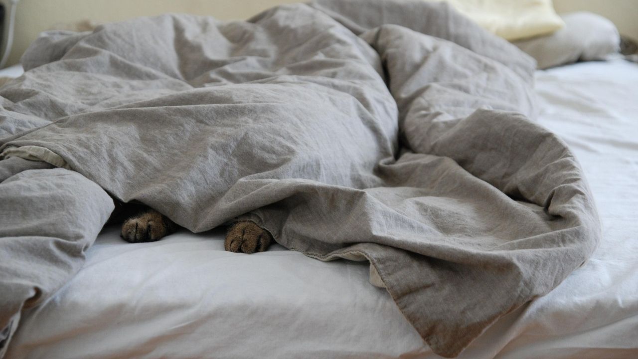 Bettdecke und Kopfkissen auf einem Bett
