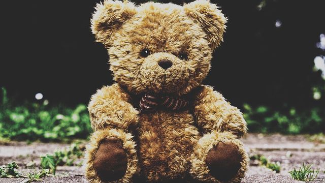 Teddybär sitzt auf einem Bett