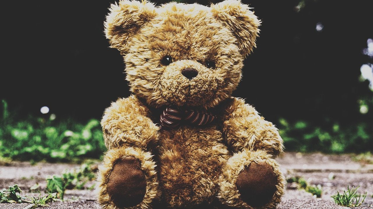 Teddybär sitzt auf einem Bett